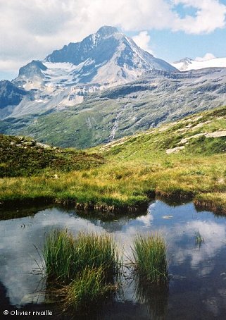 la Dent Parrachée (d'uun peu plus haut que le Lac Blanc)