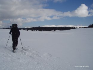 au loin, le Balcon du Leman , alt.1600m