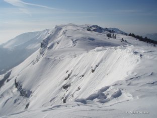 en allant vers le Mont Rond