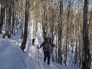rando sauvage dans les bois...