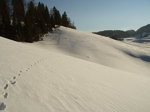 Arrive au refuge