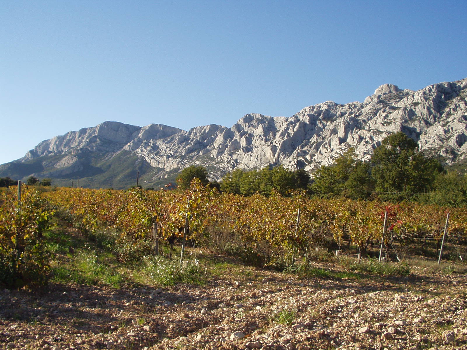 Depuis le P2 : le vin sera bon en 2005 !... au loin le Grand Signal